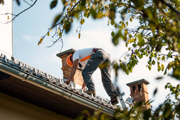 Best Local Roofing Companies  in Mount Vernon, IL