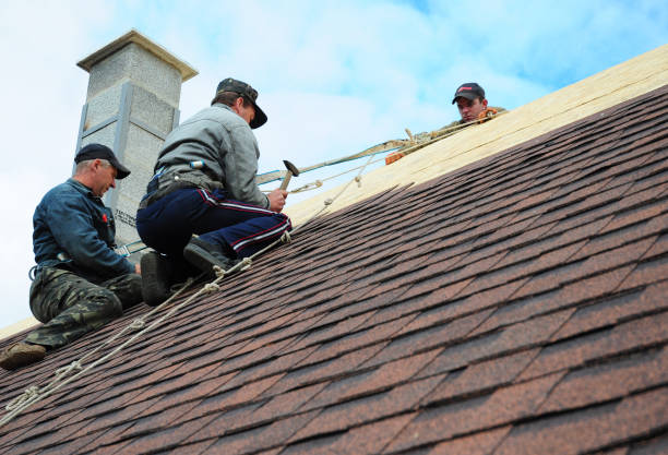 Best Roof Gutter Cleaning  in Mount Vernon, IL