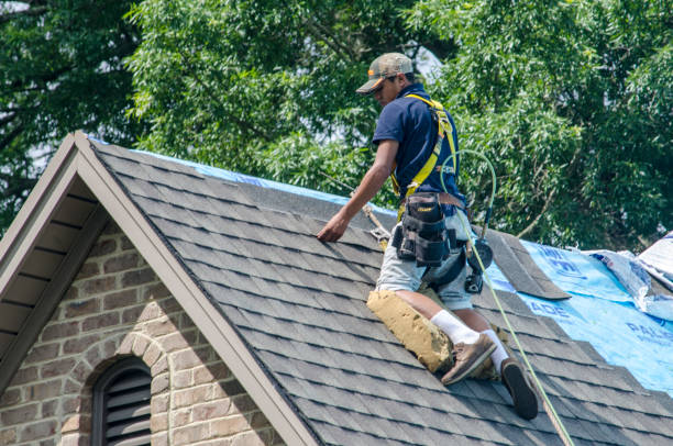 Best New Roof Installation  in Mount Vernon, IL